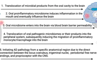 Oral Health: The Link Between Gum Disease and Dementia Risk
